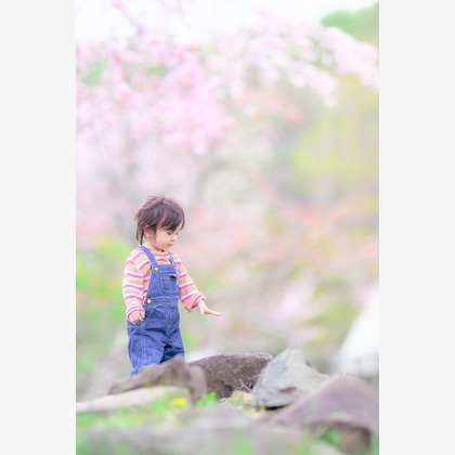 高木勇斗が出張撮影したグローブ, フラッシュ撮影, 家族一緒に写真を撮るなどが写った「様々な人物」の家族写真