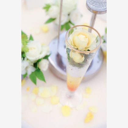 Wedding, Bridal Photos taken by studio HATOYA