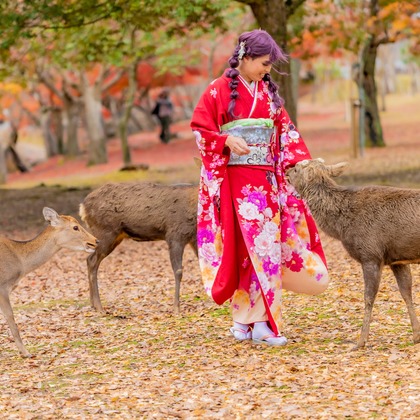 植村　誠が撮影した「:albumName」の写真