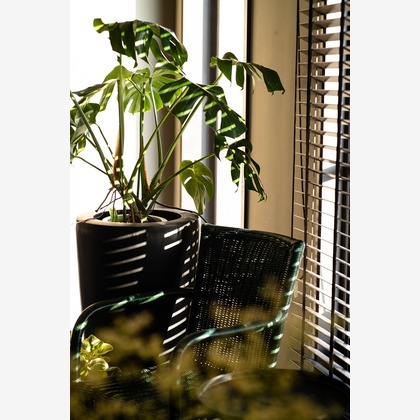 舘　典志が撮影した「:albumName」の写真