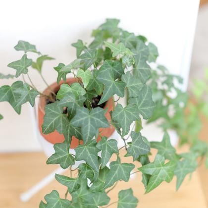 なかがわさとみが撮影した「:albumName」の写真