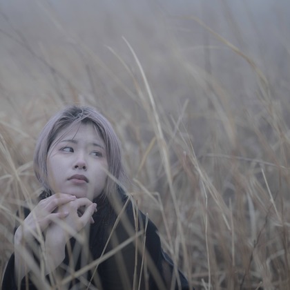 ならもとかずやが撮影した「:albumName」の写真