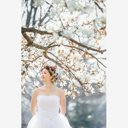 Rocographyが撮影した「:albumName」の写真