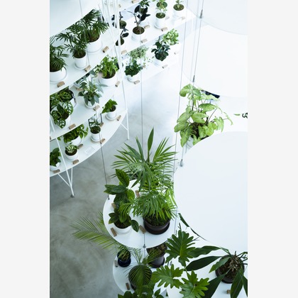 三浦希衣子が撮影した店舗/オフィス/サロン撮影/商品/物撮りの写真