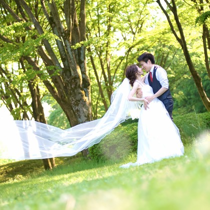 1978 ( Mille Neuf Cents Soixante-dix-huit) が撮影した「:albumName」の写真