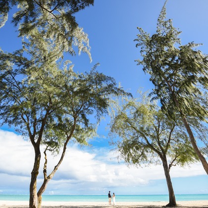 Antologia Photo Works by Jun Tagaiが撮影したウェディングや家族、ビジネスの写真