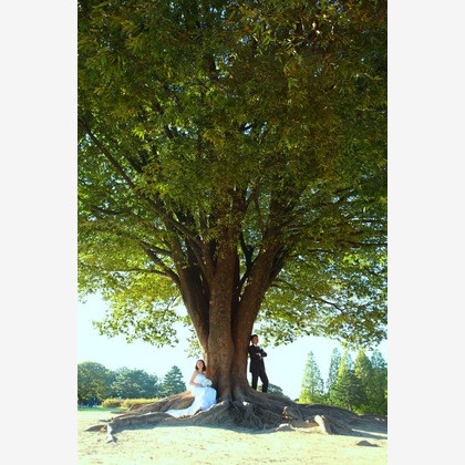 Photo of :albumName taken by WEDDING AVENUE