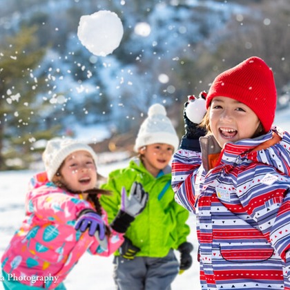 名畑文巨写真事務所が撮影した「:albumName」の写真