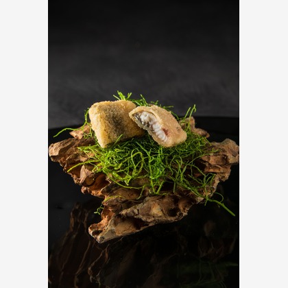 本郷直人が撮影した「:albumName」の写真