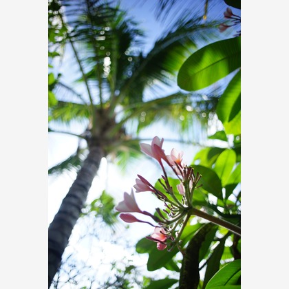 難波卓美が撮影したイベント/スナップ撮影の写真