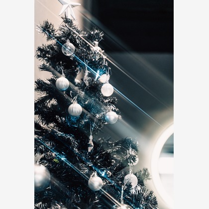 YuKI EXPRESSHOWが撮影した「スナップ」の写真