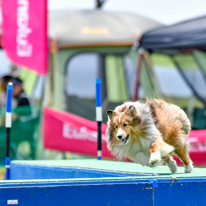 スタジオファンタスが撮影した「:albumName」の写真