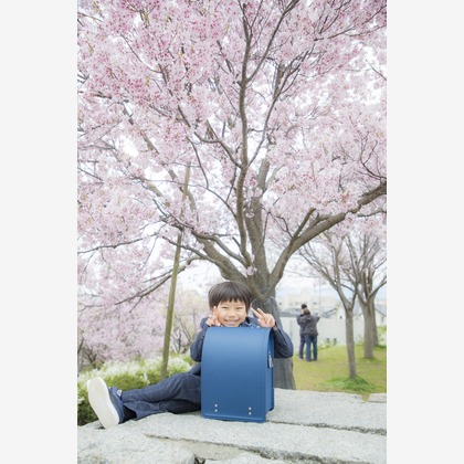 PHOTO 笑福が撮影した「:albumName」の写真