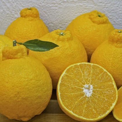 PhotoBaseありよしが撮影した商品/物撮りの写真