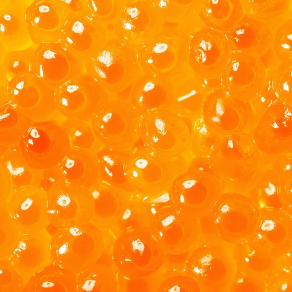 スタジオ11が撮影した「:albumName」の写真