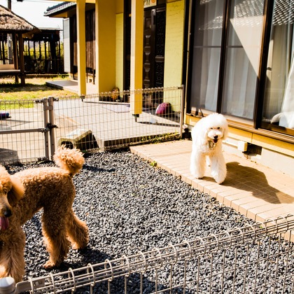 MTワークスが撮影した「企業撮影」の写真