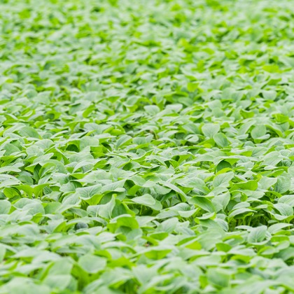 出張撮影TLaboが撮影した店舗/オフィス/サロン撮影/商品/物撮りの写真