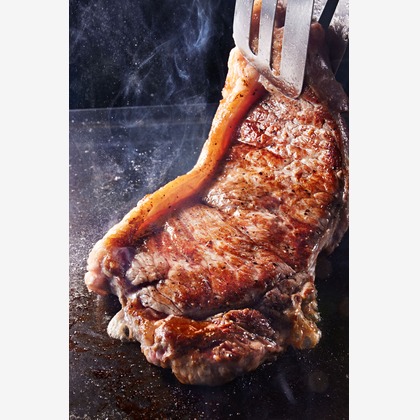 溝口拓が撮影した料理撮影の写真