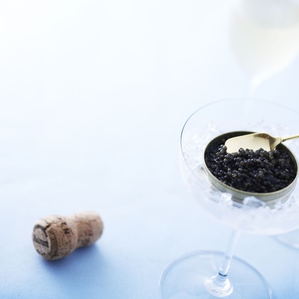 kiharu&photoが撮影した「:albumName」の写真