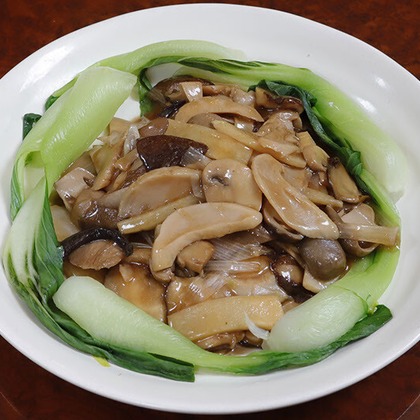 柴　有司が撮影した「:albumName」の写真