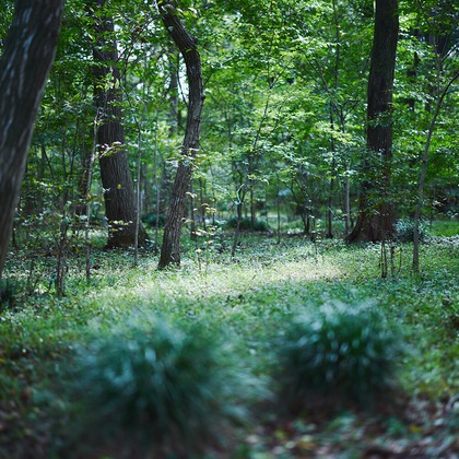 Shun Kanazawaが撮影した「:albumName」の写真