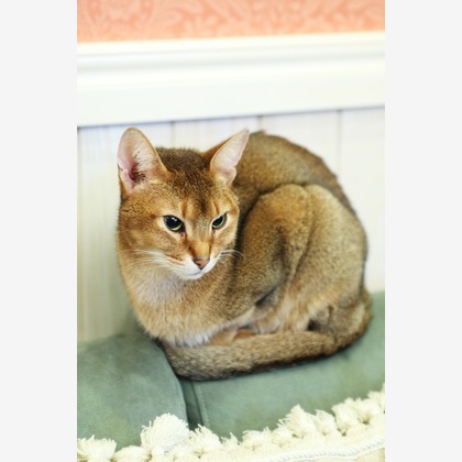 森安　照が撮影した「:albumName」の写真