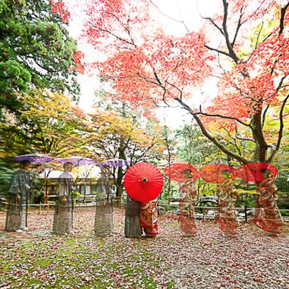 photo 4 u（塙田 基伸）が撮影した「:albumName」の写真