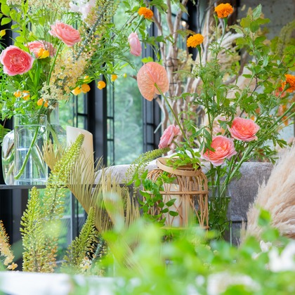 スタジオファンタスが撮影した「:albumName」の写真