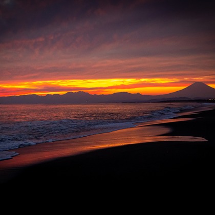 ms photoが撮影した「:albumName」の写真