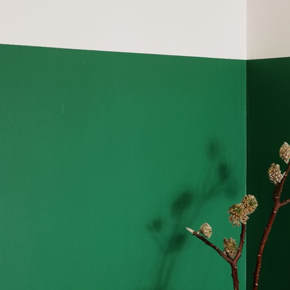 井上隆司が撮影した「:albumName」の写真