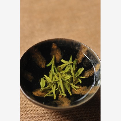 菊地事務所が撮影した「:albumName」の写真