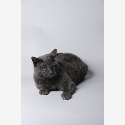 KasaiFilmsが撮影した「:albumName」の写真