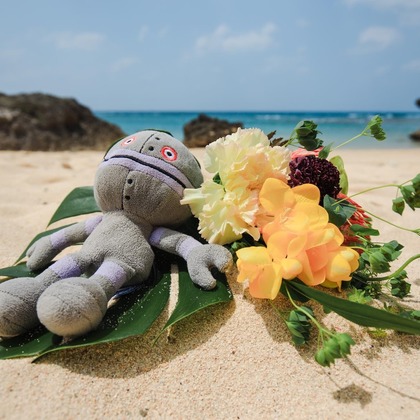 ポートレート沖縄が撮影した家族写真の出張撮影の写真