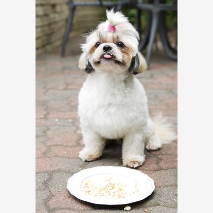 森安　照が撮影した「:albumName」の写真