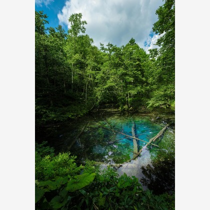 高木勇斗が撮影したその他の写真