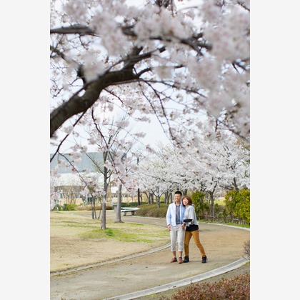 studio HATOYAが撮影した「:albumName」の写真