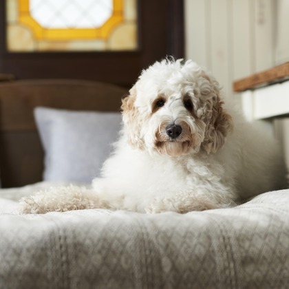 大橋裕紀が撮影した商品/物撮りの写真