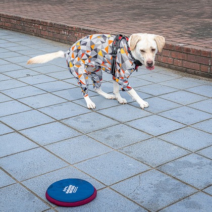 吉田佳央が撮影した「:albumName」の写真