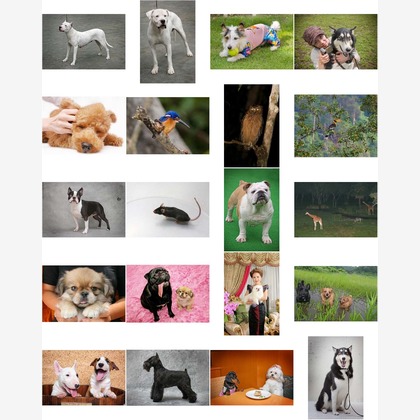 オーロラスタジオが撮影した「:albumName」の写真