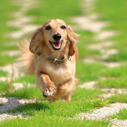 菊原浩司が撮影した「:albumName」の写真