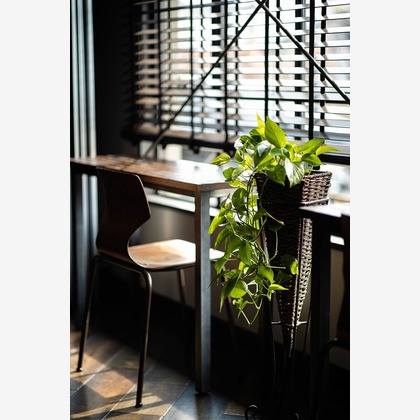 舘　典志が撮影した店舗/オフィス/サロン撮影/イベント/スナップ撮影の写真