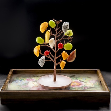 泉田真人が撮影したウェディングや家族、ビジネスの写真