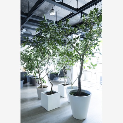 三浦希衣子が撮影した店舗/オフィス/サロン撮影/商品/物撮りの写真