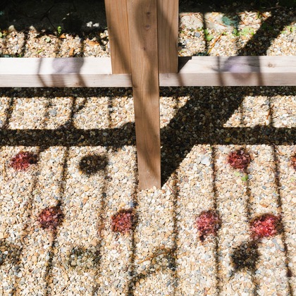 三谷 朋也が撮影した「:albumName」の写真