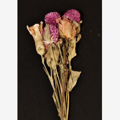 Mid-Village Studioが撮影した商品/物撮りの写真