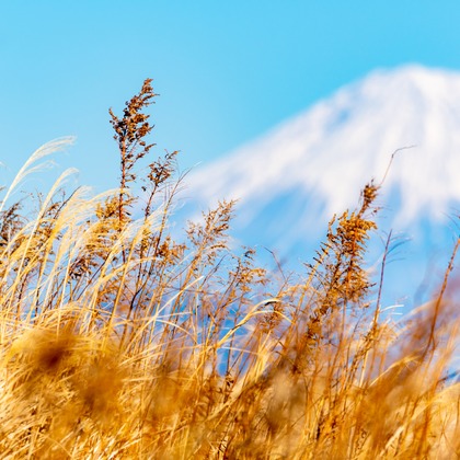 スタジオファンタスが撮影した「:albumName」の写真