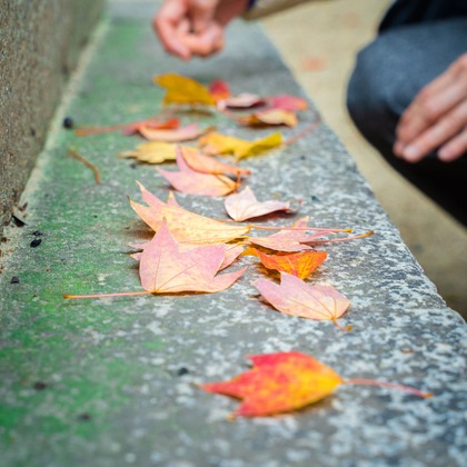 田中愛実が撮影した「:albumName」の写真