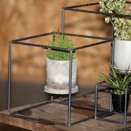 梅田　紫邑が撮影した商品/物撮りの写真