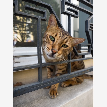 堀勝志古写真事務所が撮影したウェディングや家族、ビジネスの写真