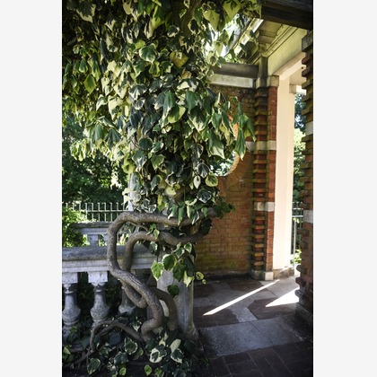 Lucky Sliver Sixpenceが撮影した「プラン名：Romantic Park(ロケーション参考写真）」の写真